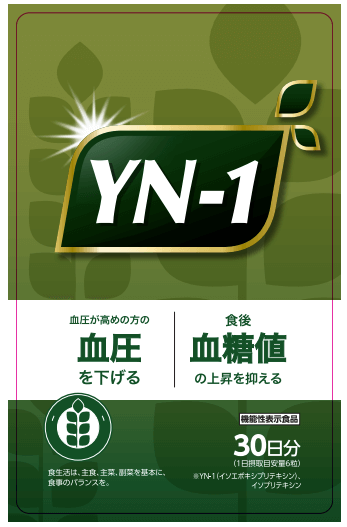 YN(ワイエヌ)-1